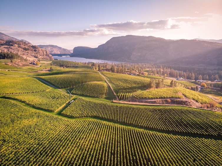 Penticton: Full-Day Wine Tour with Lunch, Transfers, and Tastings