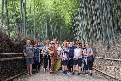 Kyoto: Arashiyama-Bambus, Tempel, Matcha, Affen und geheime Orte