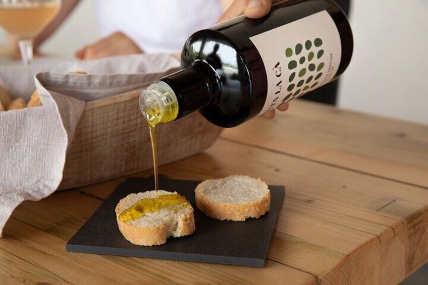 Visit and wine tasting at Tenuta La Cà