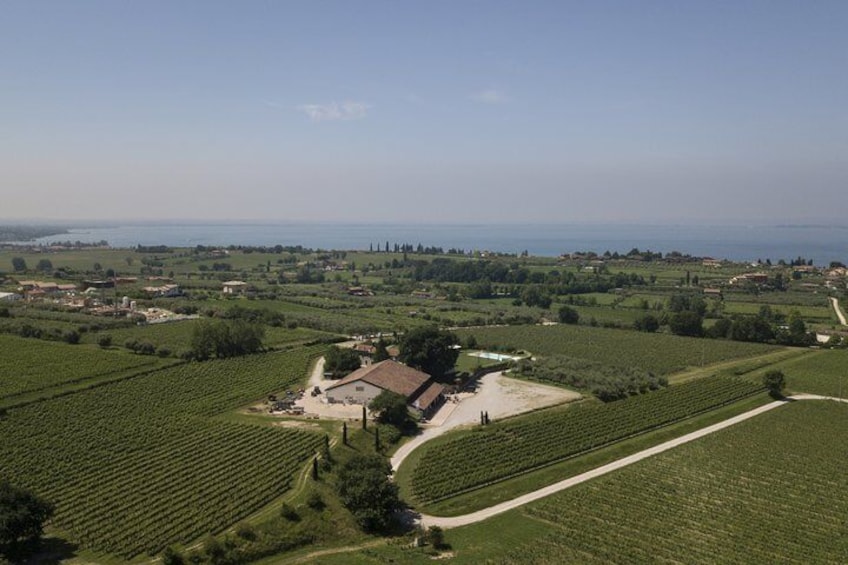 Visit and wine tasting at Tenuta La Cà