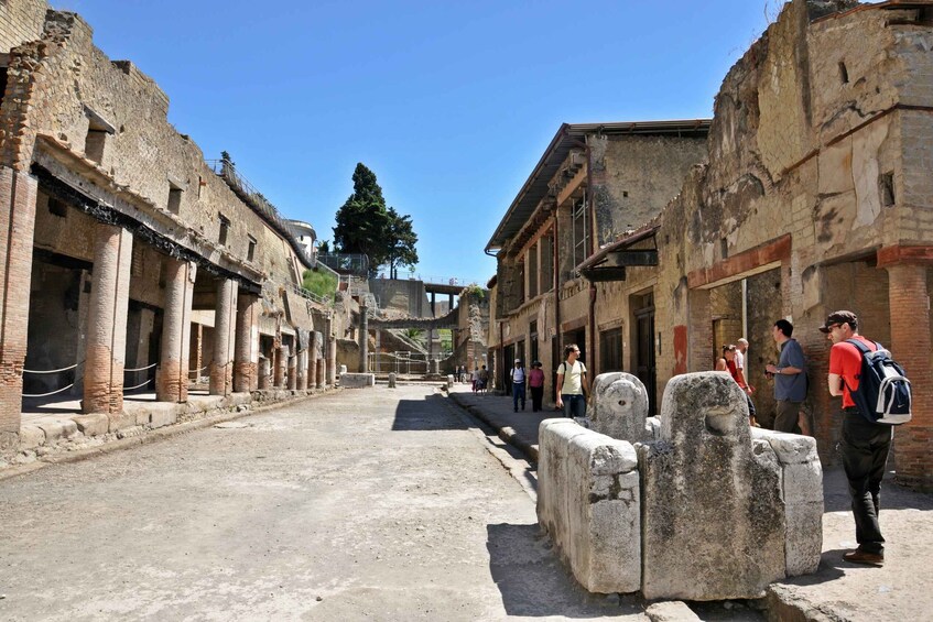 Picture 1 for Activity Naples: Pompeii and Herculaneum Private Walking Tour