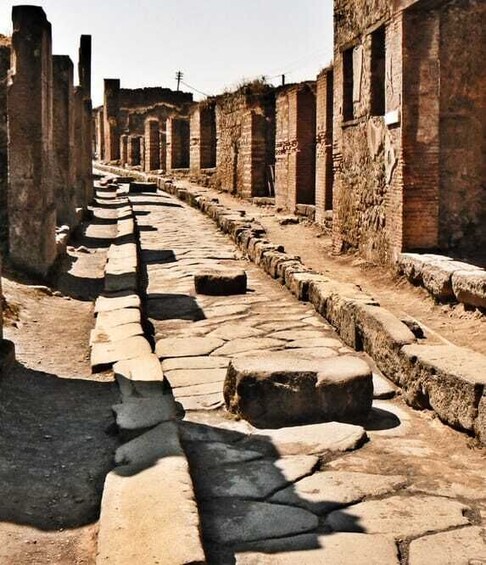 Picture 4 for Activity Naples: Pompeii and Herculaneum Private Walking Tour