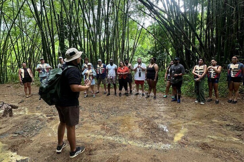 Immersive small group rainforest adventure with transportation