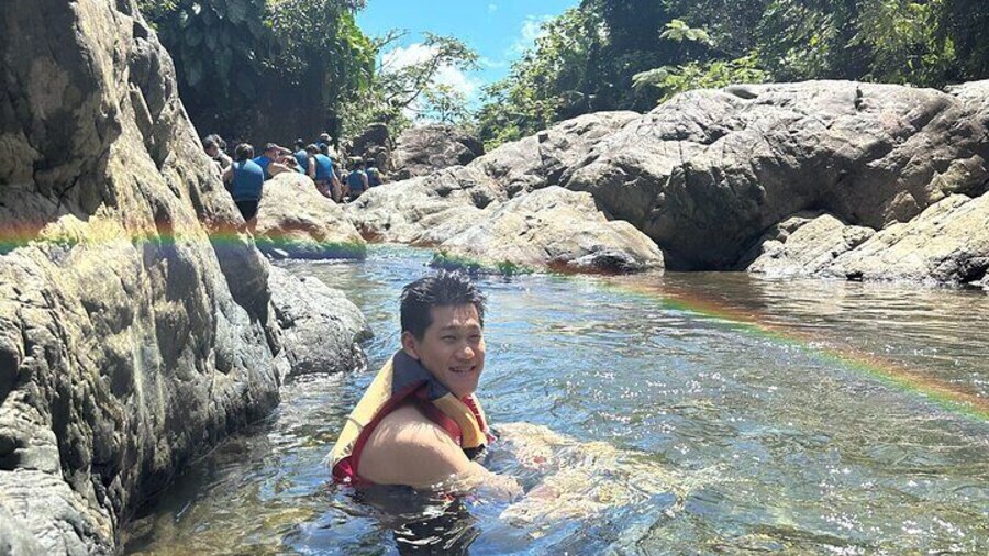 Immersive El Yunque Rainforest Adventure with Transportation