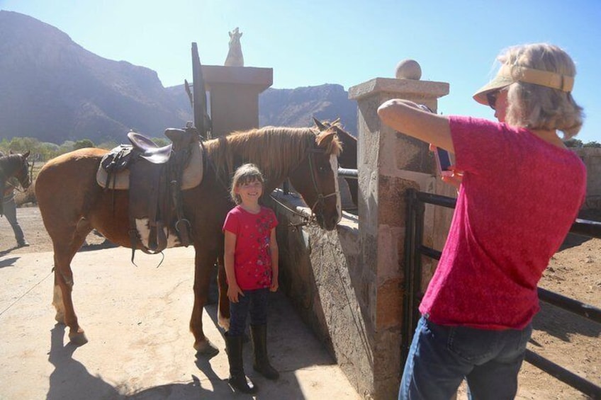 Authentic horse back riding experience in beautiful La Mision