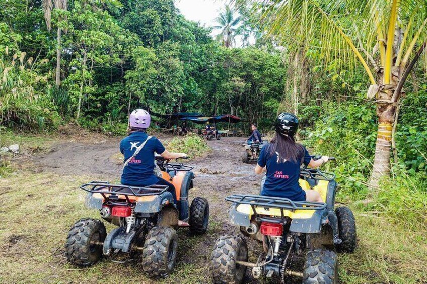 Full-Day Bohol Island Countryside Wonders Guided Tour with Lunch