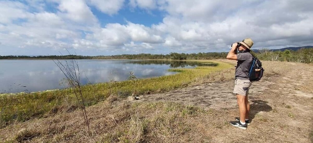 Picture 4 for Activity From Cairns: Full-Day Birdwatching Excursion