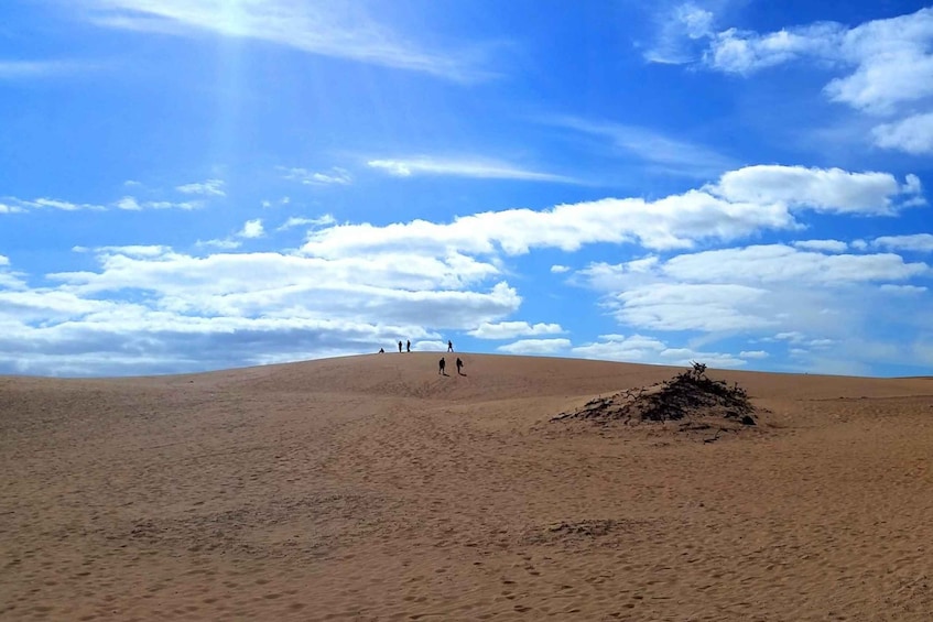 Picture 6 for Activity Fuerteventura: Panoramic Tour