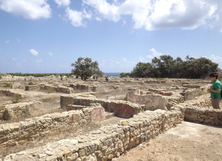 Picture 6 for Activity From Tunis or Hammamet: Cap Bon Peninsula Full-day Tour