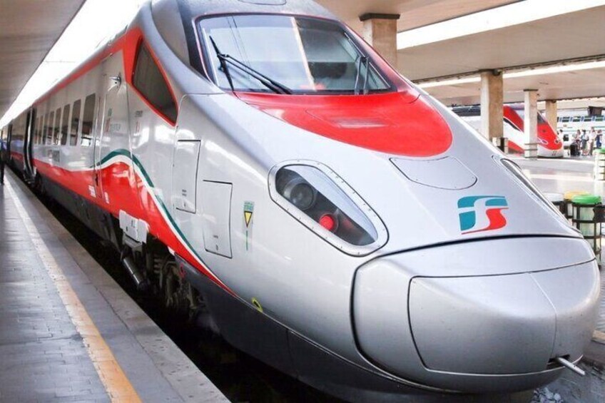 Discover Pompeii and Naples by High Speed Train From Rome