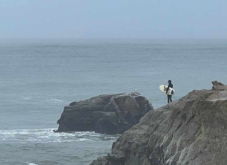 Picture 7 for Activity Carmel, Monterey & Big Sur Private Tour "From San Francisco"