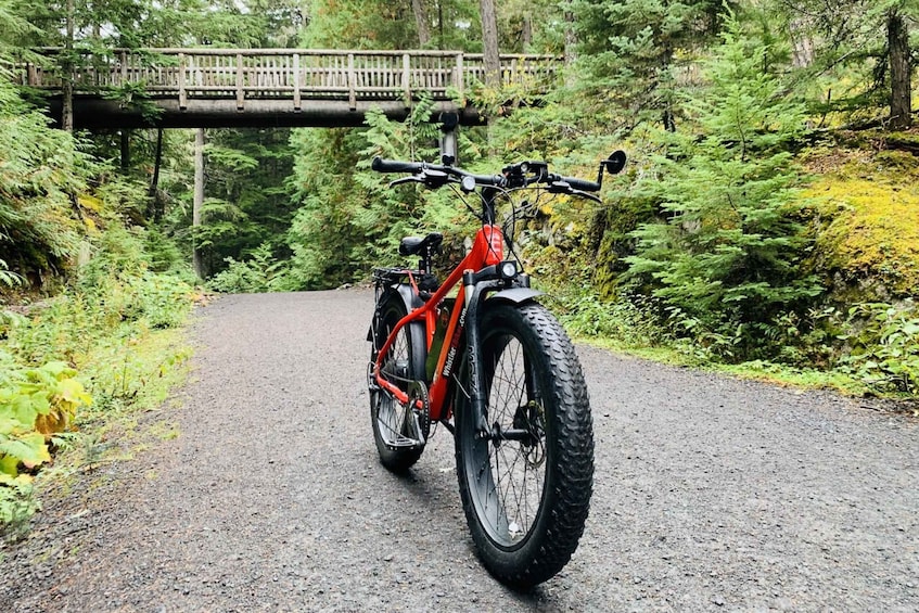 Picture 6 for Activity Whistler: Guided eBike Adventure