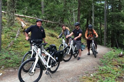 ウィスラーガイド付きeBikeアドベンチャー