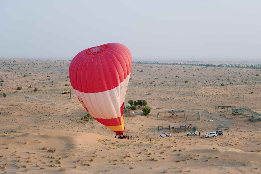 Picture 21 for Activity Dubai: Hot Air Balloon Ride with Camel Ride & Falcon Show