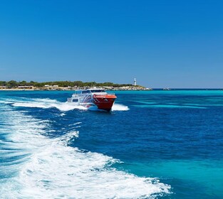 Rottnest Express - Yhteinen lautta Rottnest Islandille Perthistä tai Freman...