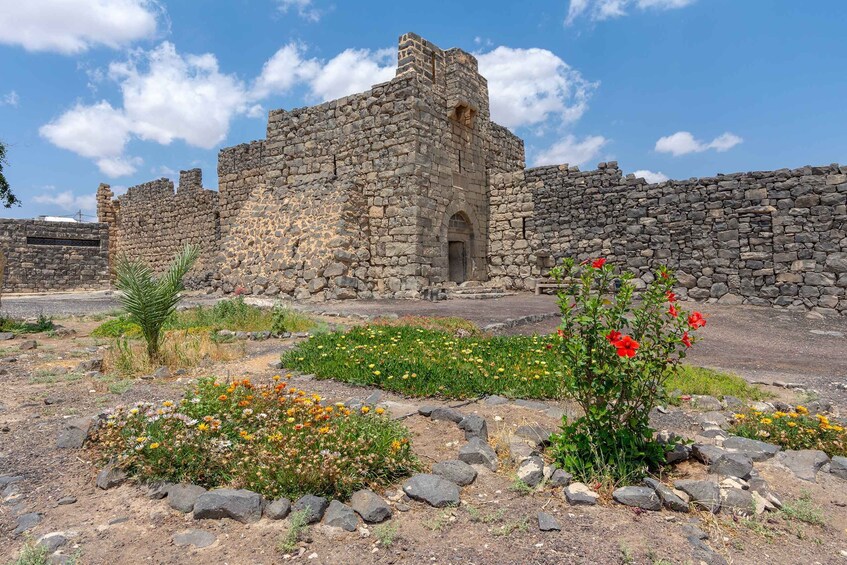 Picture 4 for Activity From Amman: Umayyad Desert Castles Tour with Transfer