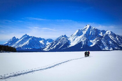 Grand Teton National Park: 4-Hour Beginner Cross-Country Ski