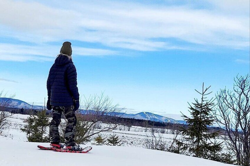 Private Snowshoeing on the Ile d'Orléans