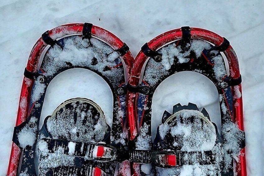 Private Snowshoeing on the Ile d'Orléans