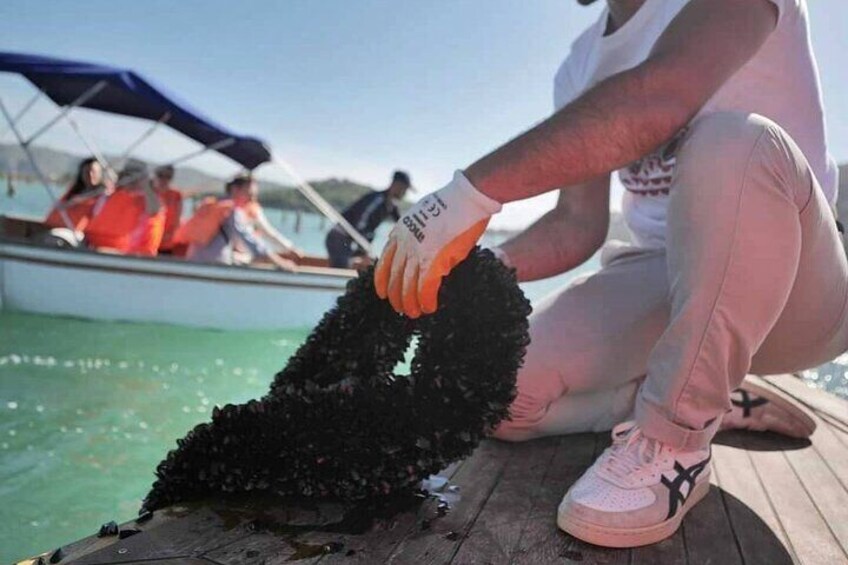 Mussel Sailing Tour with Food and Drink Tasting in Albania