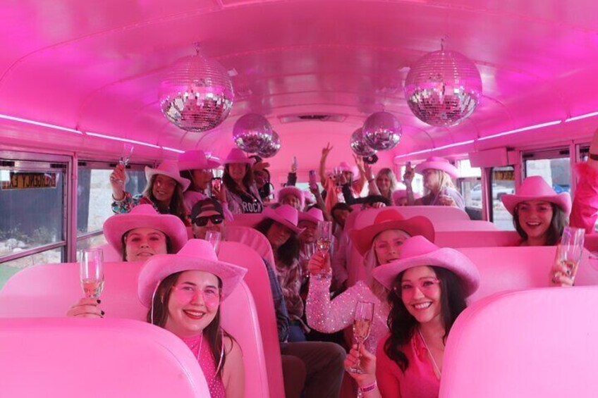 Half-Day Fredericksburg Bubbly Booze Night Bus Guided Experience