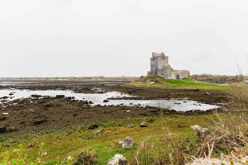 Picture 8 for Activity From Galway: Cliffs of Moher and The Burren Guided Day Trip