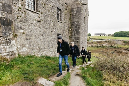 Från Galway: Tur till Cliffs of Moher och Burren