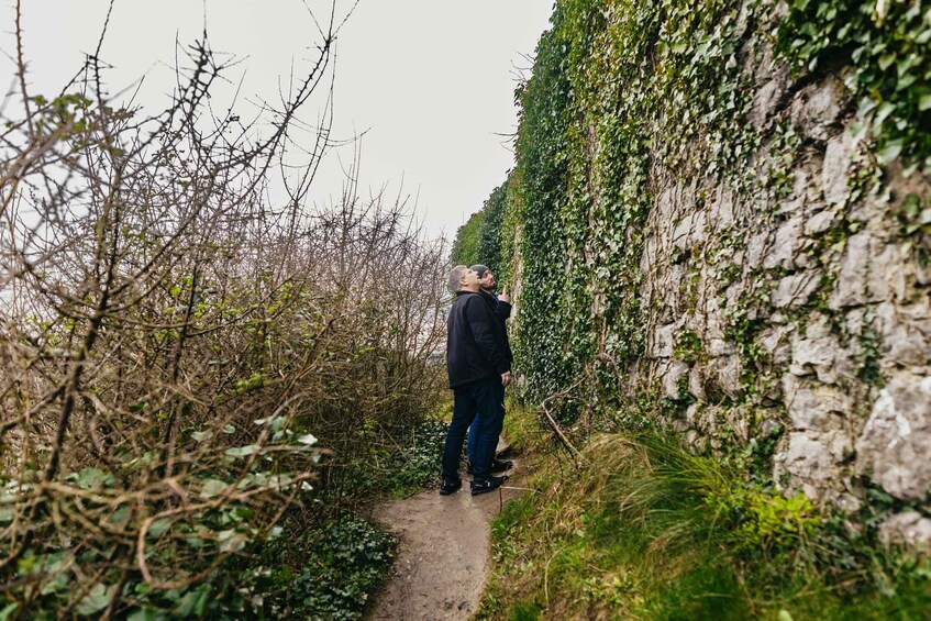 Picture 6 for Activity From Galway: Cliffs of Moher and The Burren Guided Day Trip