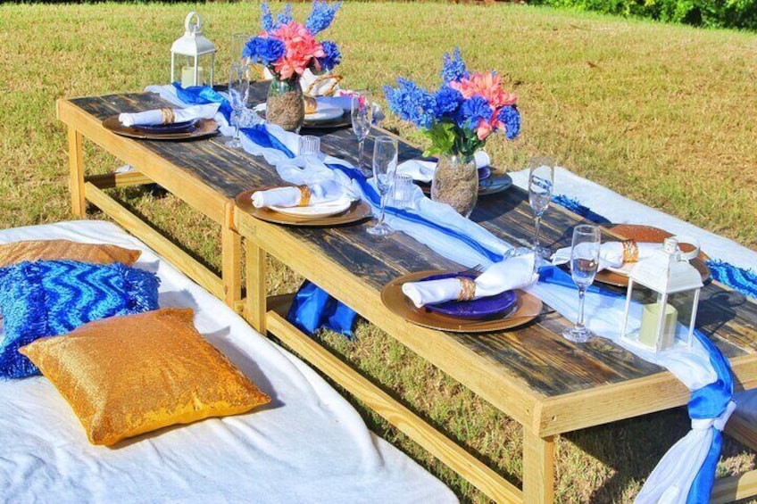 Luxury Private Picnic with Caribbean Cuisine 