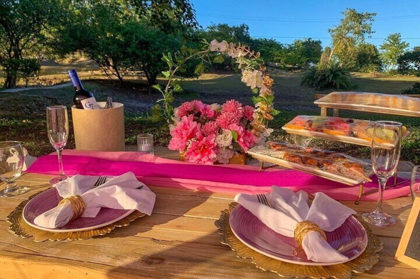 Luxury Private Picnic with Caribbean Cuisine 