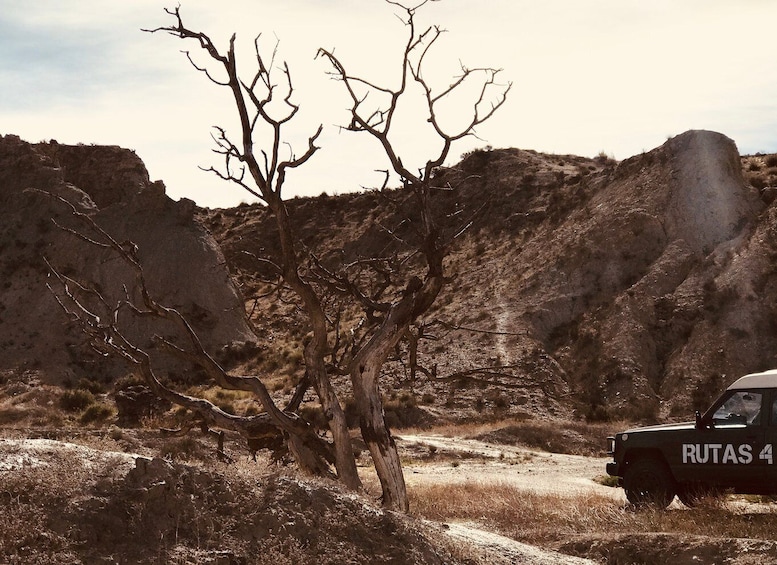 Picture 1 for Activity Almeria: Tabernas Desert 4x4 Tour