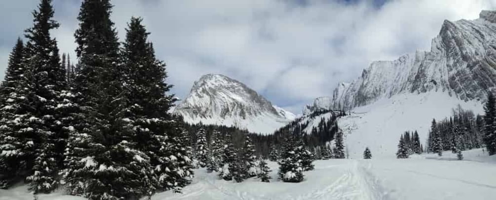 Picture 4 for Activity Canmore: Kananaskis Country Snowshoe Tour