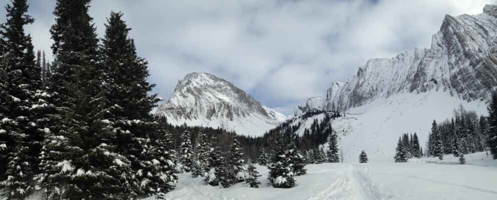 Picture 4 for Activity Canmore: Kananaskis Country Snowshoe Tour