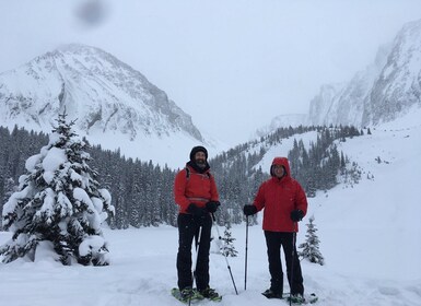 Canmore: recorrido con raquetas de nieve por el campo de Kananaski