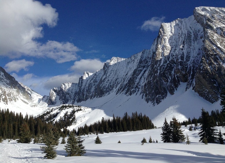 Picture 1 for Activity Canmore: Kananaskis Country Snowshoe Tour