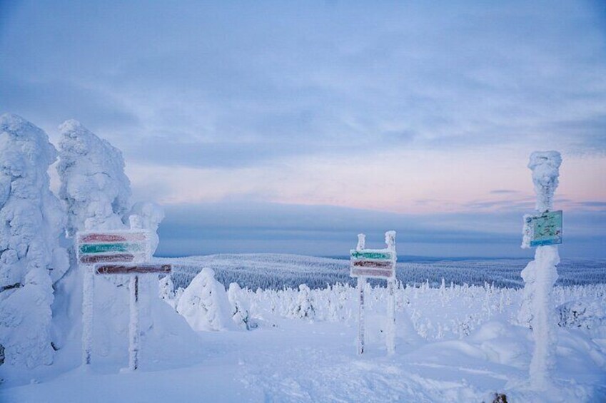 Riisitunturi National Park