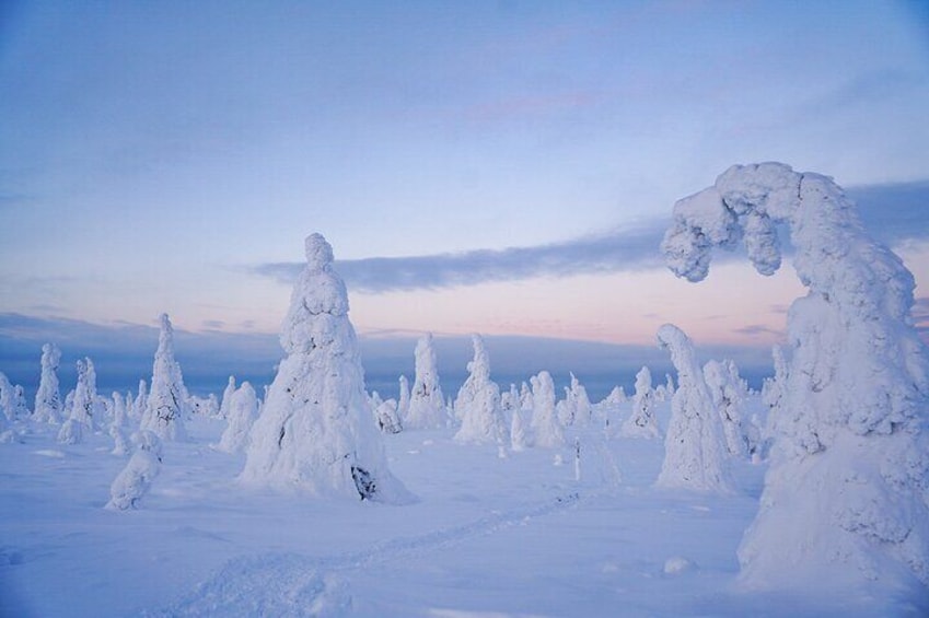 Beautiful frozen landscapes in Finnish Lapland