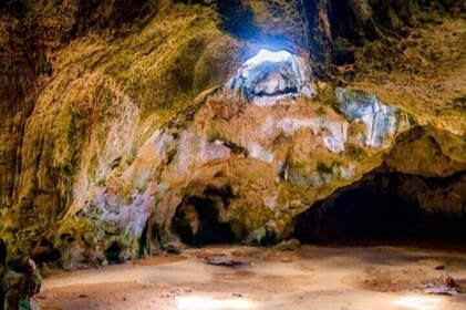 Aruba privat tur med skaldjur/västindisk mat ingår