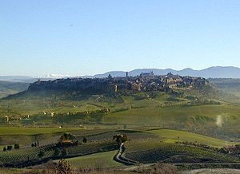 Picture 2 for Activity Umbria Full-Day Tour of Orvieto and Todi Civita Bagnoregio