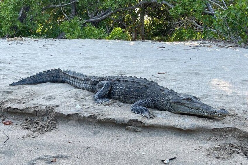Birdwatching Crocodiles and Monkey Tour