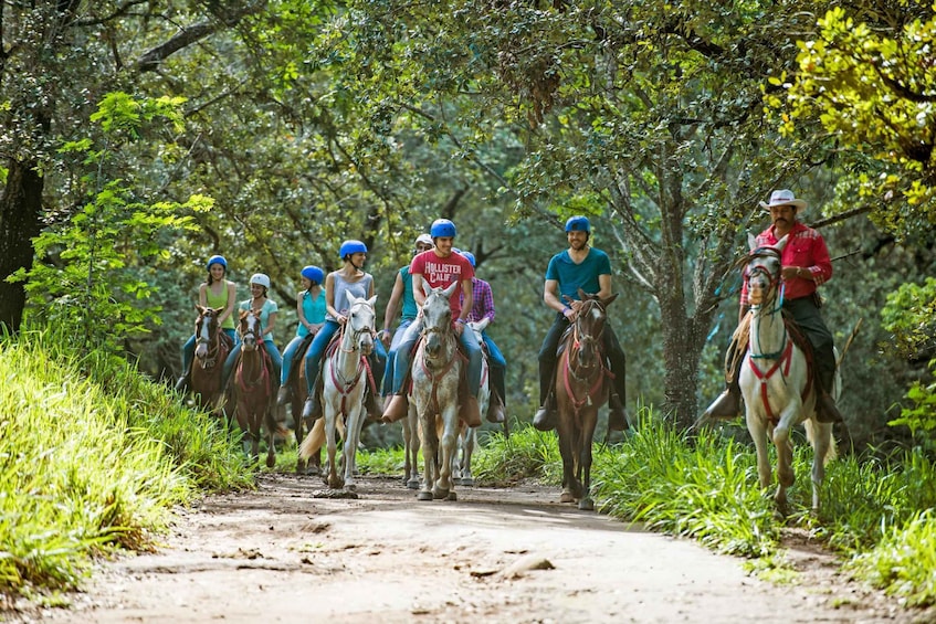 Picture 1 for Activity Horseback Riding Tour to the Oropéndola Waterfall
