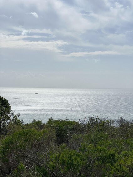 Picture 3 for Activity Lisbon: Hiking in Arrábida Natural Park