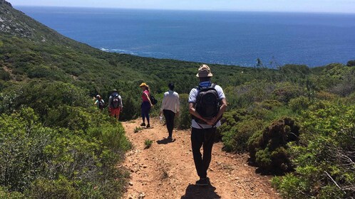 Lisboa: Fotturer i Arrábida naturpark