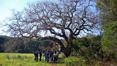 Lisbonne : Randonnée dans le parc naturel d’Arrábida