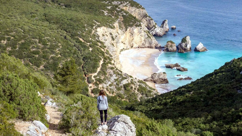 Picture 4 for Activity Lisbon: Hiking in Arrábida Natural Park