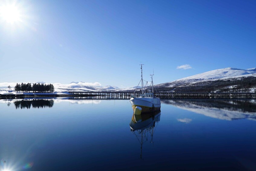 Picture 7 for Activity Tromsø: Fjord Cruise by Luxury Yacht