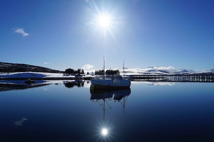 Tromsø: Fjordcruise med luksusyacht