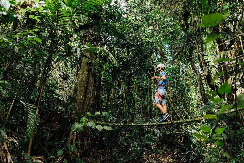 Picture 5 for Activity Vanuatu Jungle Zipline