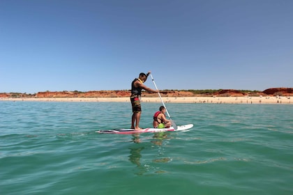 Albufeira: experiencia de surf de remo de 1 hora