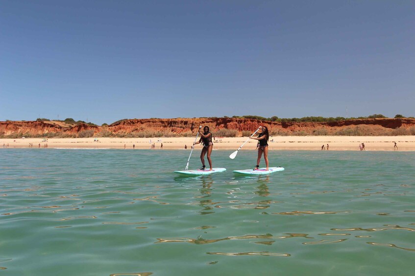 Picture 1 for Activity Albufeira: 1 Hour Stand-Up Paddleboard Experience